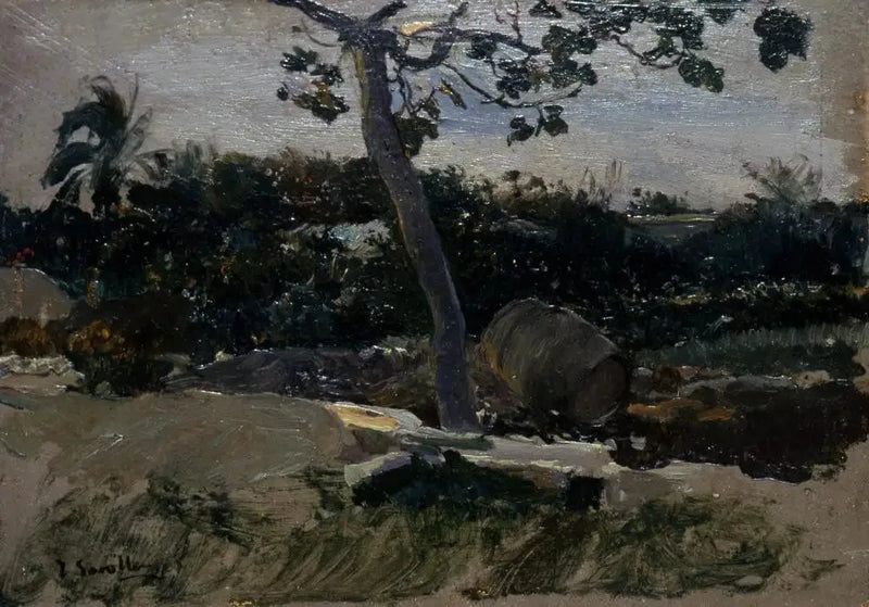 Tuin, Valencia - Joaquín Sorolla