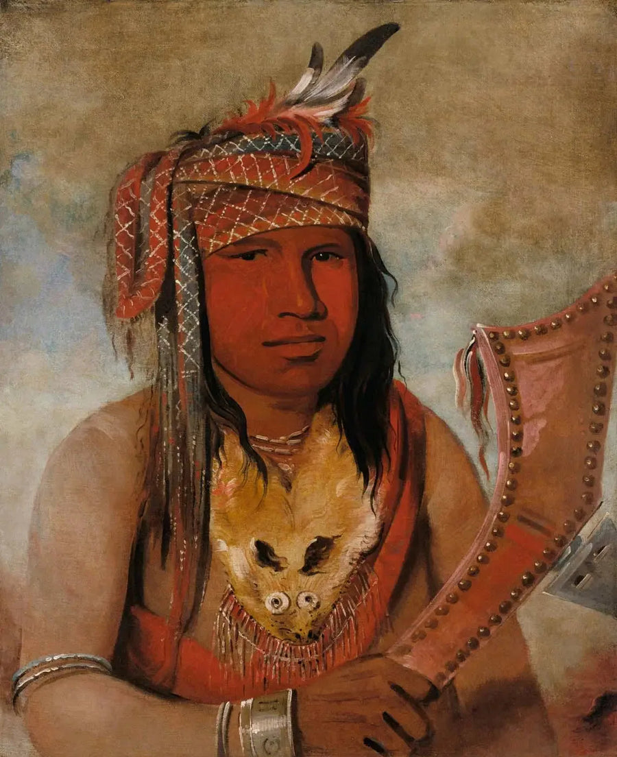 Je suis quelque chose de dick, Caribou mâle, un brave - George Catlin

Source:
Je-suis-quelque-chose-dick, Caribou mâle, un brave - George Catlin