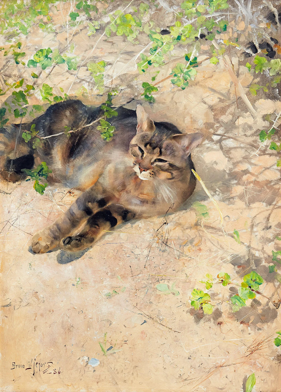 Jeppe le chat sous le soleil printanier - Bruno Liljefors