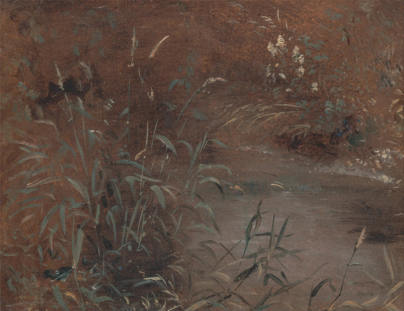 Joncs aan de rand van een zwembad - John Constable