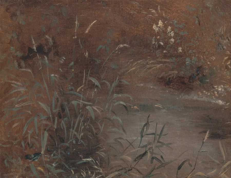 Joncs aan de rand van een zwembad - John Constable