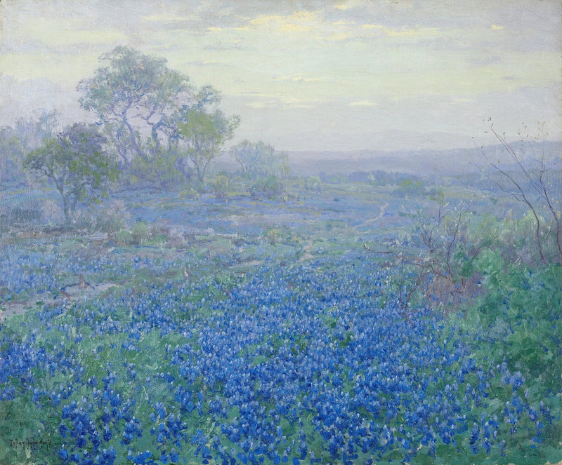 Bewolkte dag, blauwe lupines bij San Antonio, Texas - Julian Onderdonk