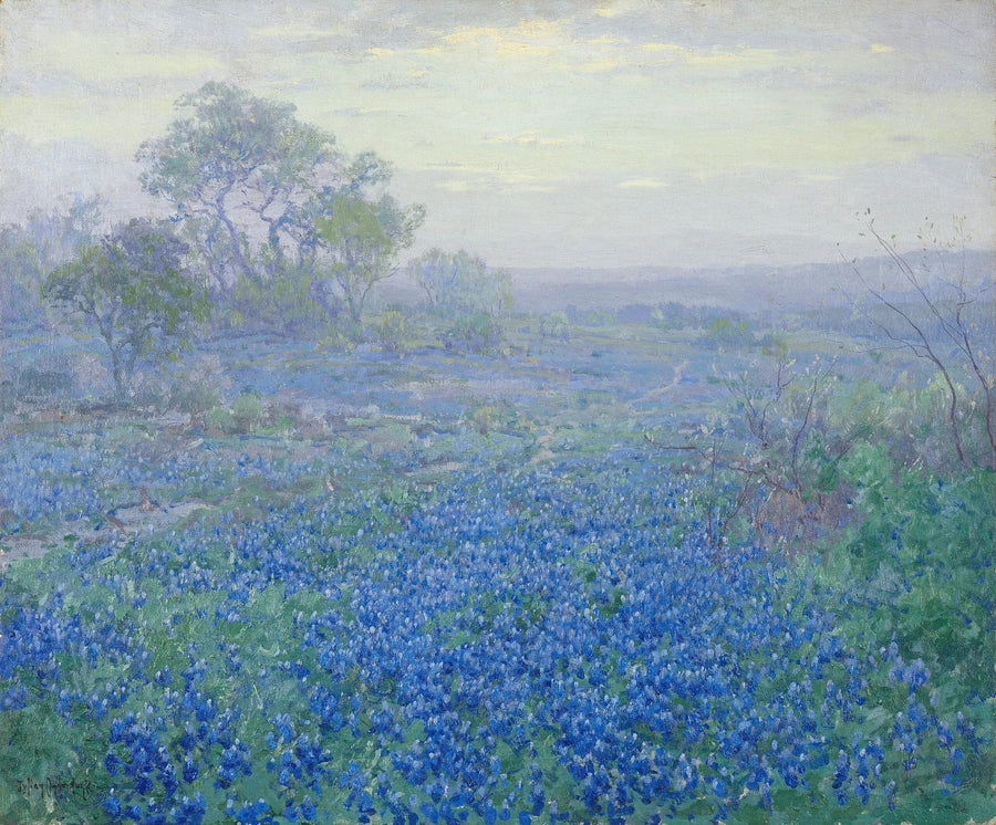 Bewolkte dag, blauwe lupines bij San Antonio, Texas - Julian Onderdonk