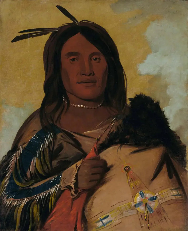 Ka-pés-ka-da, Shell Man, een Oglala-oorlogsveteraan - George Catlin

Source:
Ka-pés-ka-da, Shell Man, un Oglala Brave - George Catlin