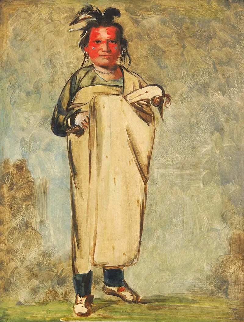 Káw-kaw-ne-chóo-a, een dapper - George Catlin

Source:
Káw-kaw-ne-chóo-a, un Brave - George Catlin