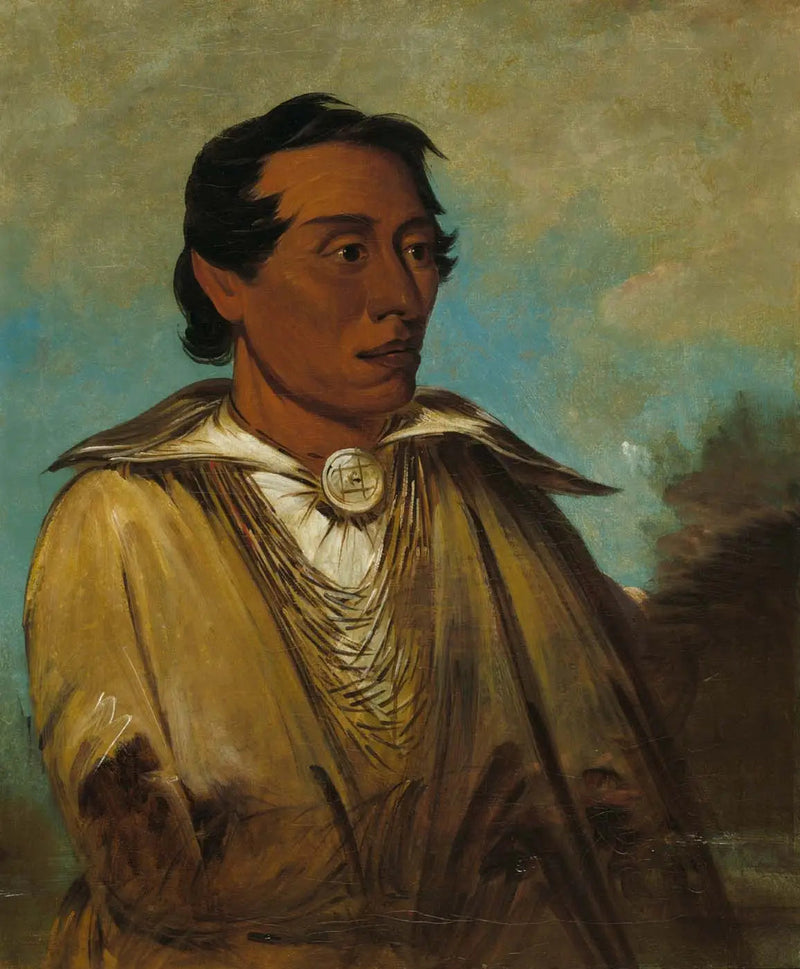 Kee-án-ne-kuk, de belangrijkste man, leider van de stam - George Catlin

Source:
Kee-án-ne-kuk, Homme le plus important, Chef de la tribu - George Catlin