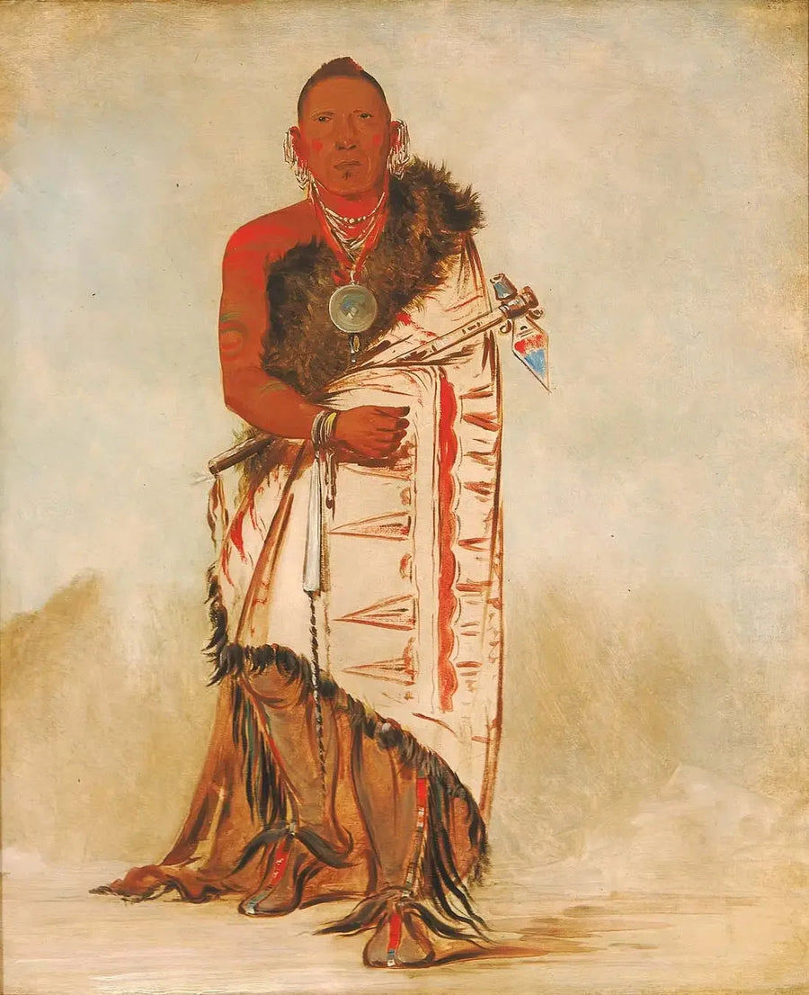 Ki-hó-go-waw-shú-shee, moedige leider, stamhoofd - George Catlin

Source:
Ki-hó-go-waw-shú-shee, chef courageux, chef de la tribu - George Catlin