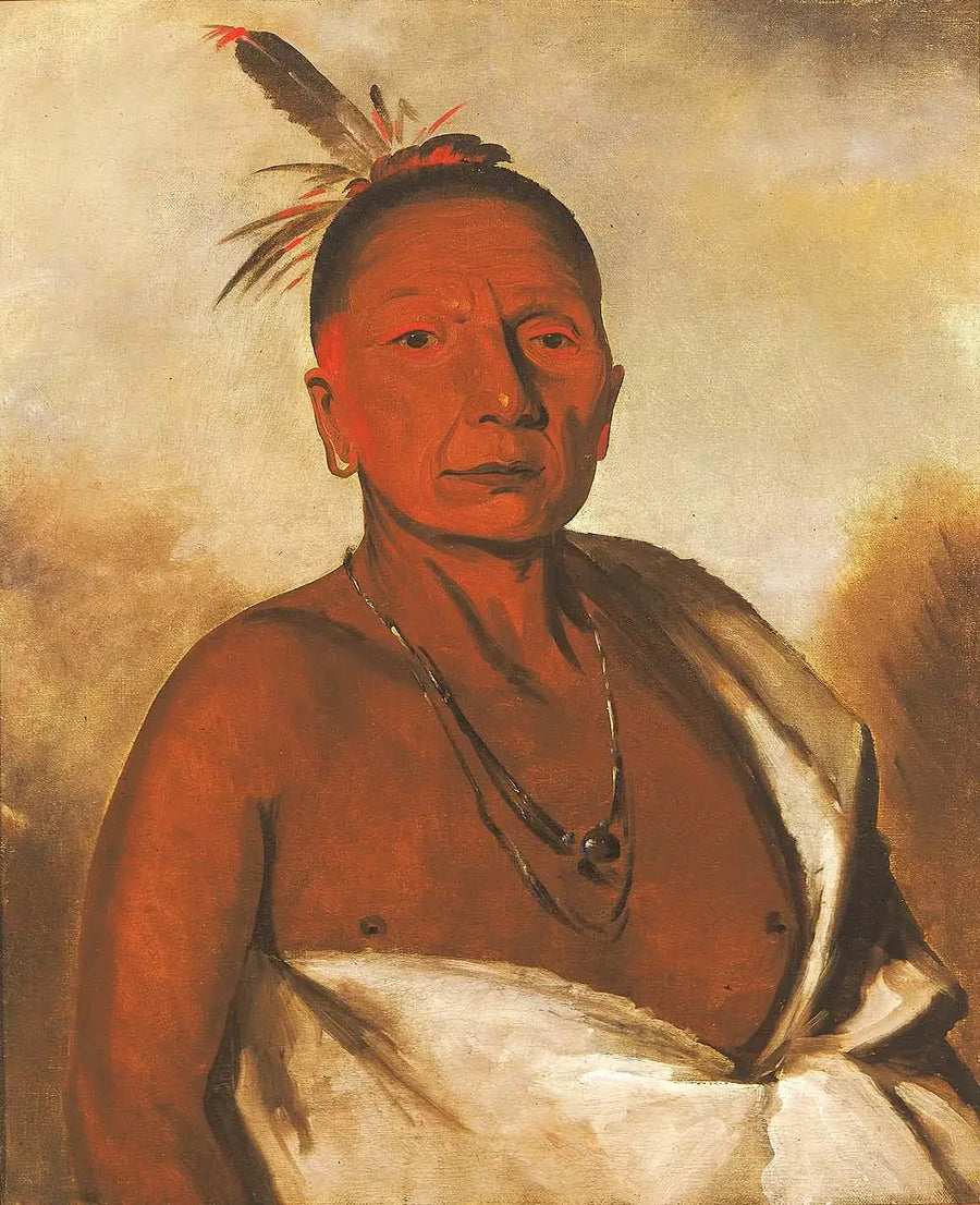 Kid-à-day, een dappere heer - George Catlin

Source:
Kid-à-day, un brave distingué - George Catlin