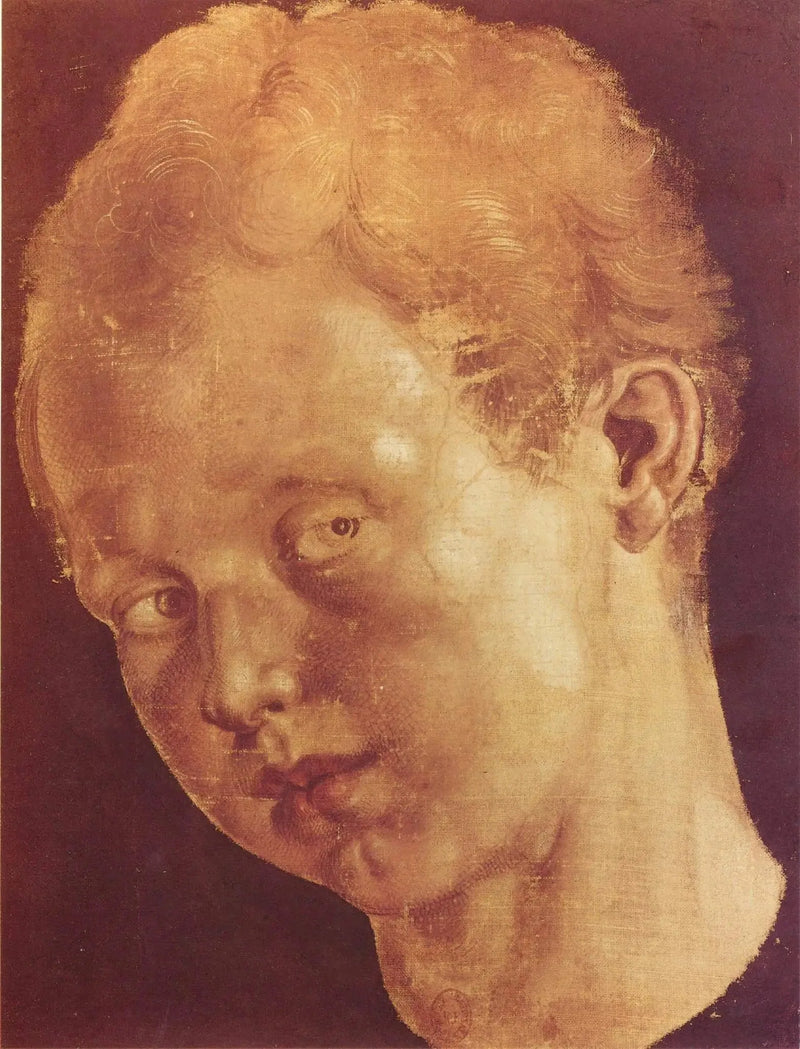 Q124458968 - Albrecht Dürer
