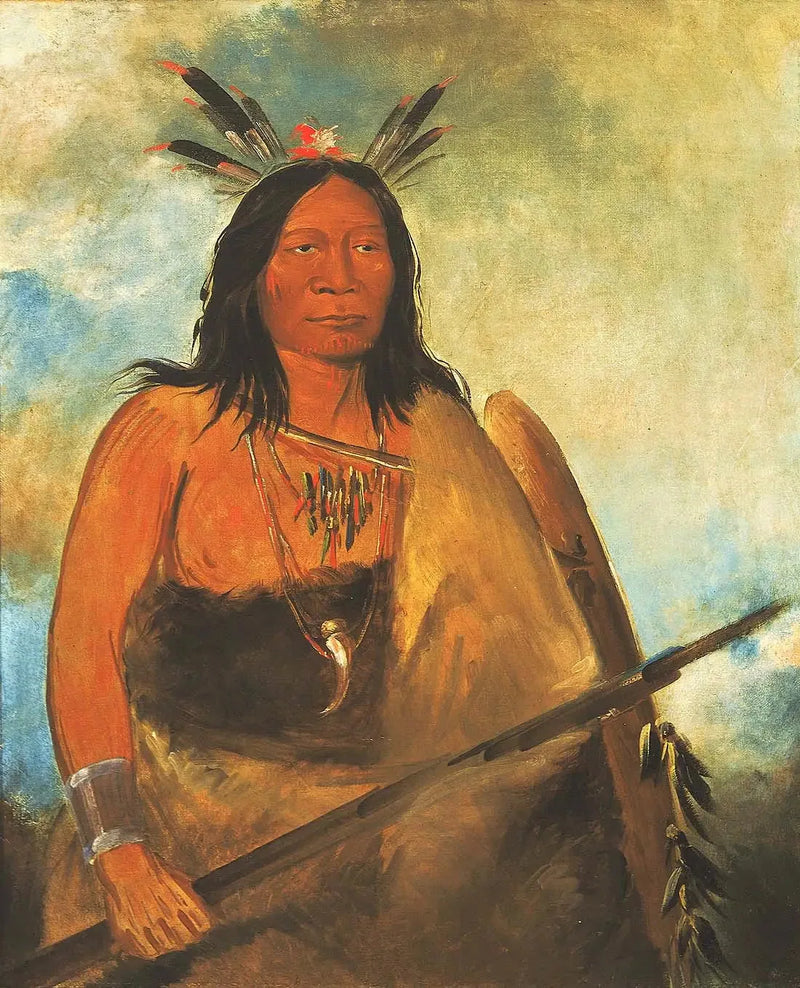 Kots-o-kó-ro-kó, Koehalsvacht, een chef - George Catlin

Source:
Kots-o-kó-ro-kó, Poil du cou du taureau, un chef - George Catlin