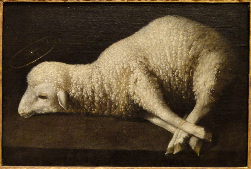 Het Lam van God - Francisco de Zurbarán