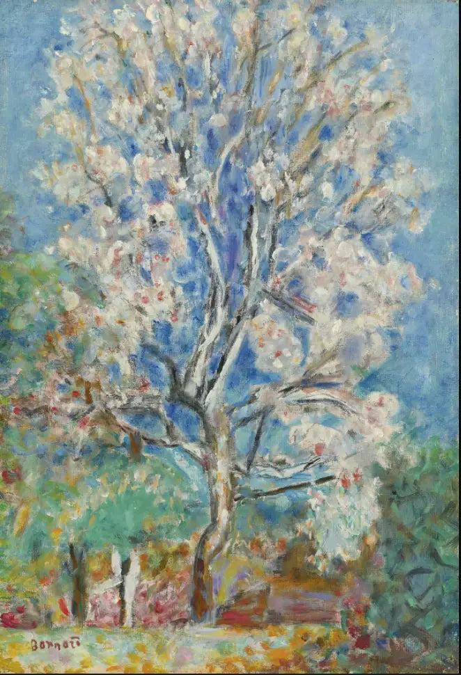 De Amandelboom in Bloei - Pierre Bonnard