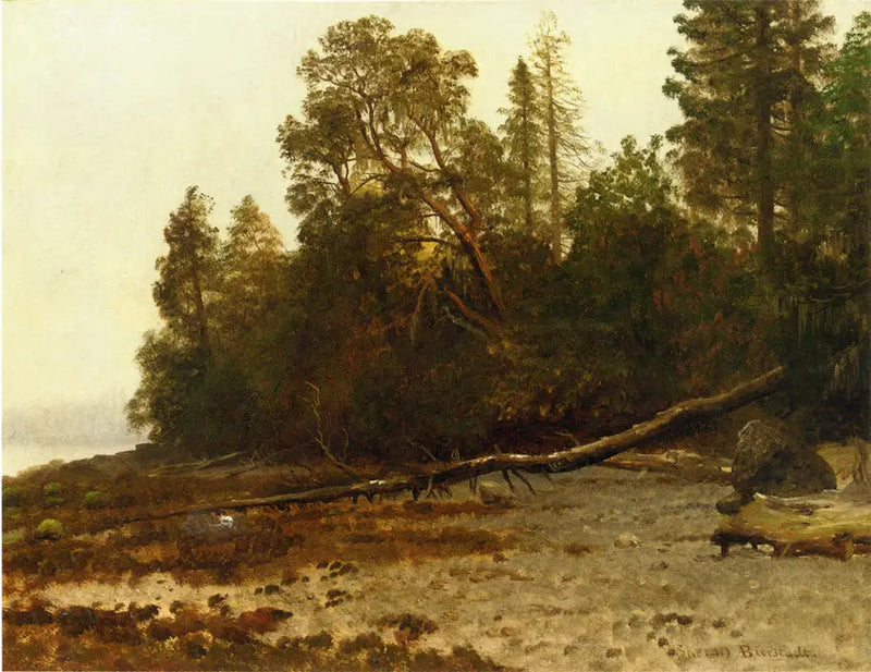 De gevallen boom - Albert Bierstadt

Source:
L'arbre tombé - Albert Bierstadt