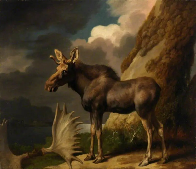 De elan - George Stubbs

Source:
L'élan - George Stubbs