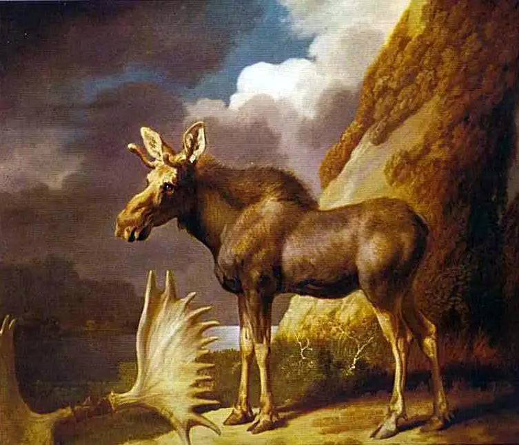 De elan - George Stubbs

Source:
L'élan - George Stubbs