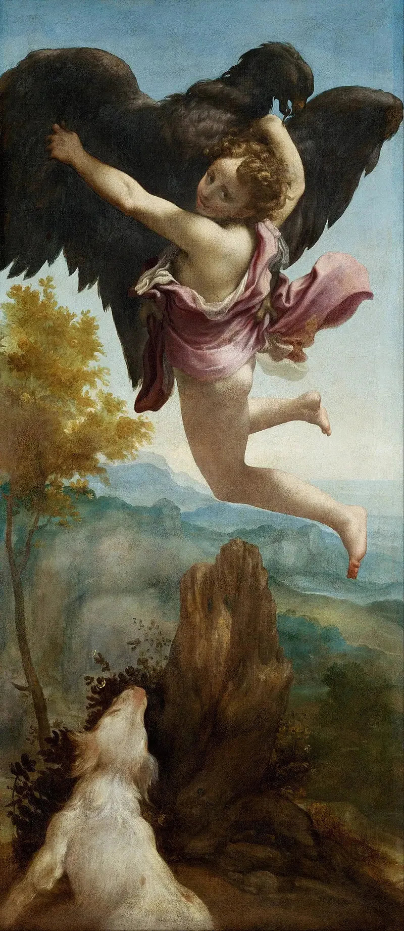De Ontvoering van Ganymedes - Antonio da Correggio