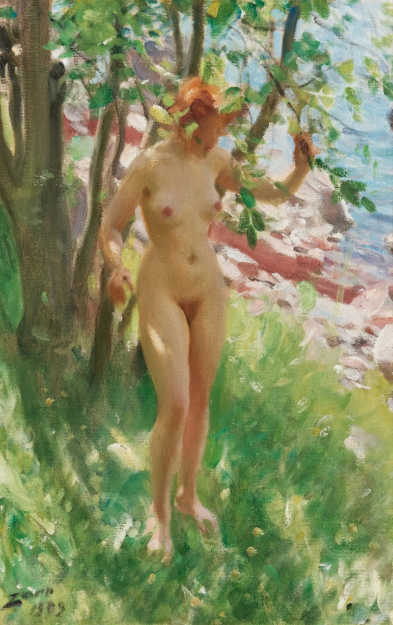 De Schaduw - Anders Zorn

Source:
L'Ombre - Anders Zorn