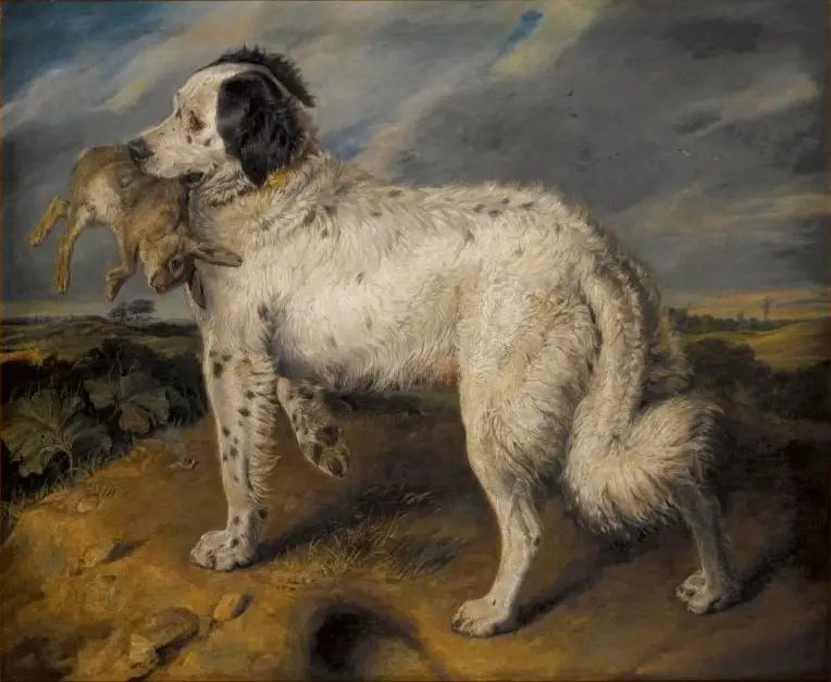 De Kampioene: Venus - Edwin Henry Landseer

Source:
La Championne : Vénus - Edwin Henry Landseer