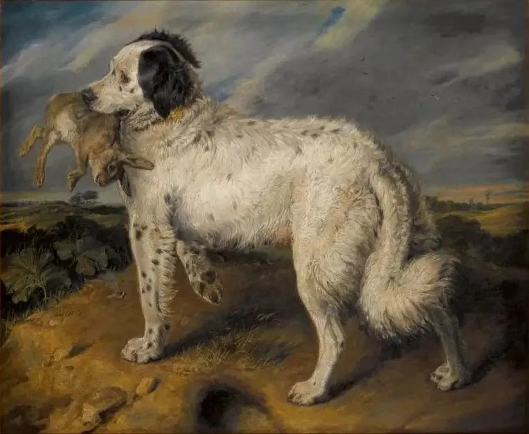 De Kampioene: Venus - Edwin Henry Landseer

Source:
La Championne : Vénus - Edwin Henry Landseer