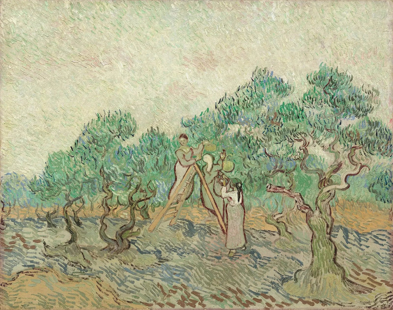 De Olijvenpluk - Vincent van Gogh
