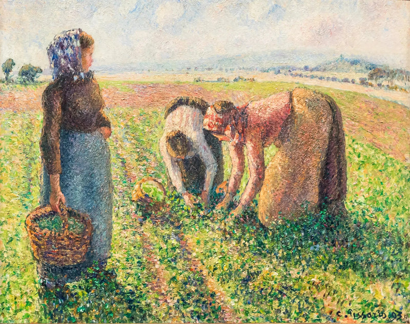 De erwtenpluk, Éragny - Camille Pissarro