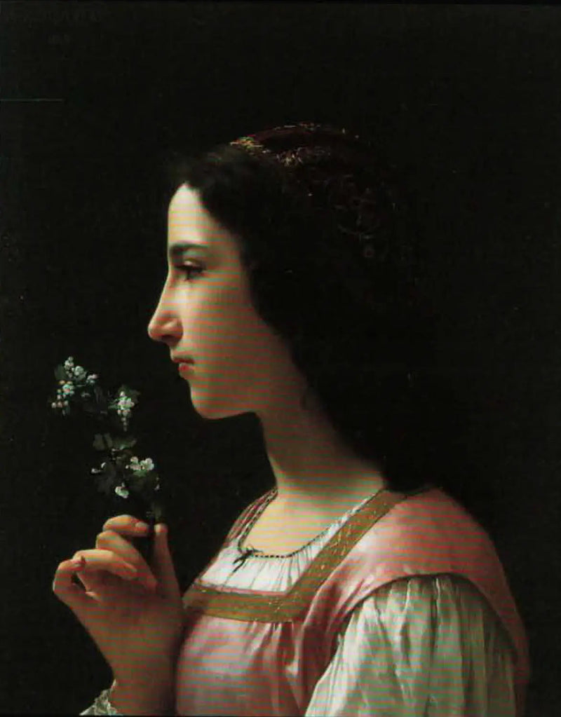 De meidoornbloem - Bouguereau