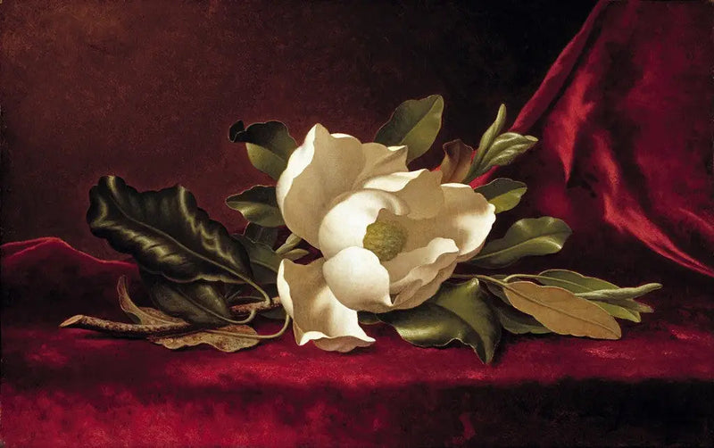 De magnoliabloem - Martin Johnson Heade

Source:
La fleur de magnolia - Martin Johnson Heade