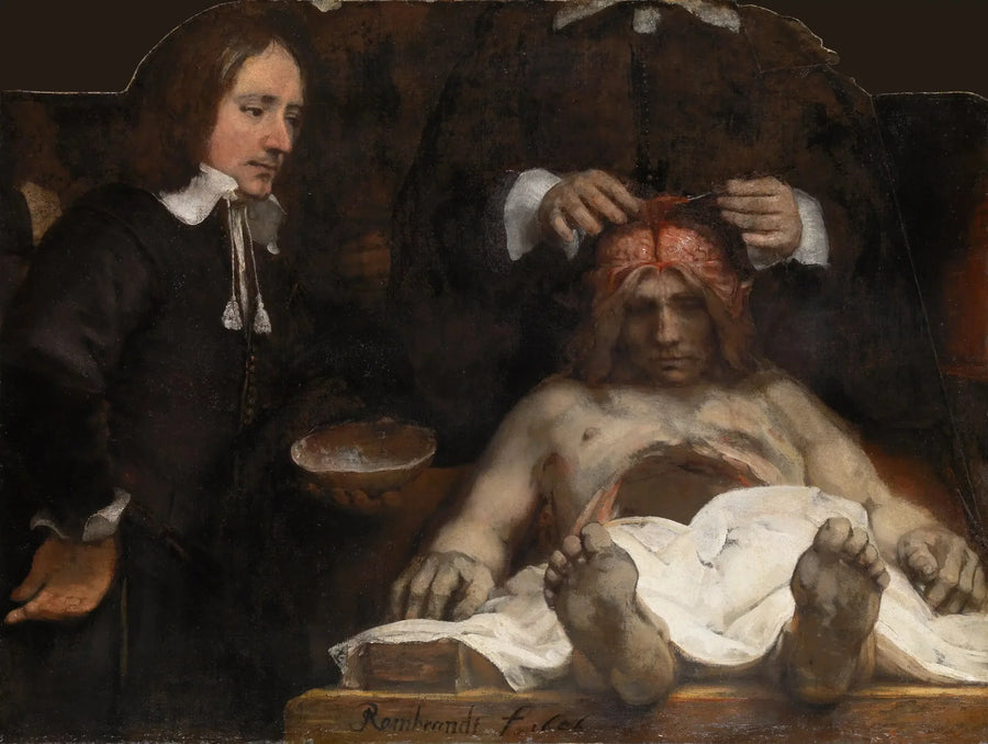 De Anatomieles van Dr. Joan Deyman - Rembrandt