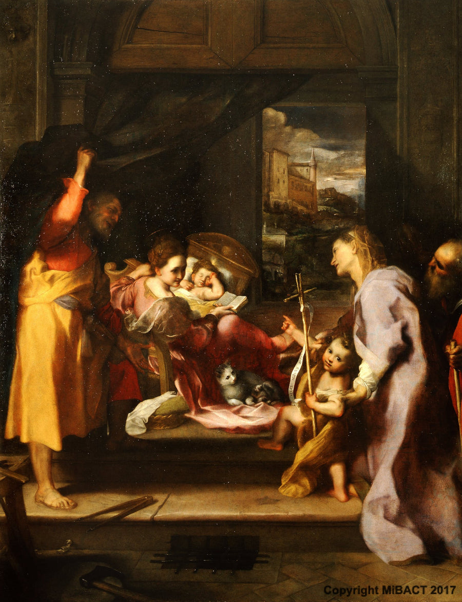 De Madonna van de Kat - Federico Barroci