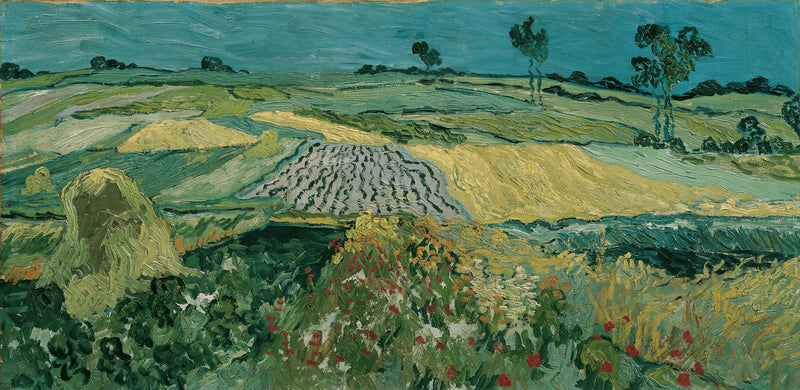 De vlakte van Auvers - Vincent van Gogh