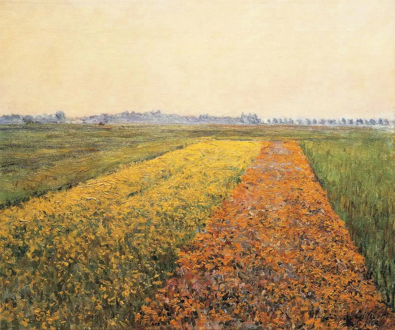 De vlakte van Gennevilliers, Gele velden - Gustave Caillebotte