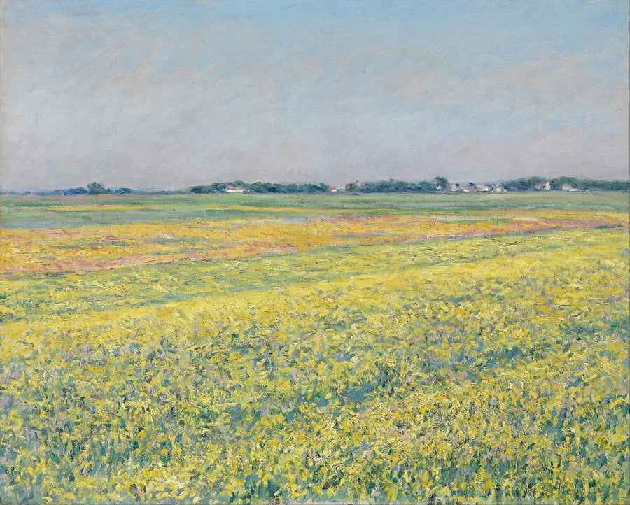 De vlakte van Gennevilliers, gele velden - Gustave Caillebotte