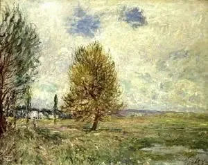 De vlakte van Veneux-Nadon - Alfred Sisley