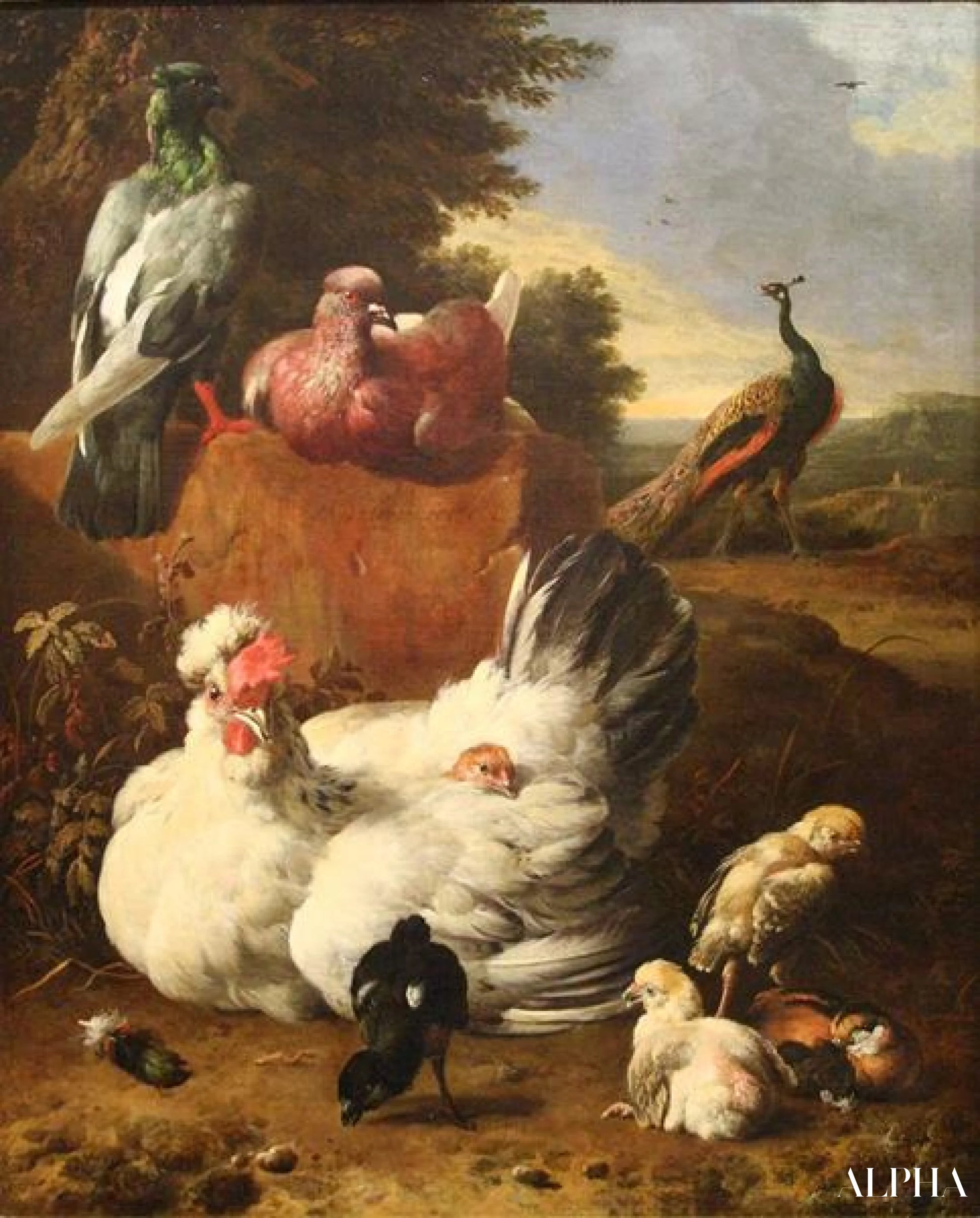 La poule blanche - Melchior d'Hondecoeter - Reproductions de tableaux et peintures haut de gamme