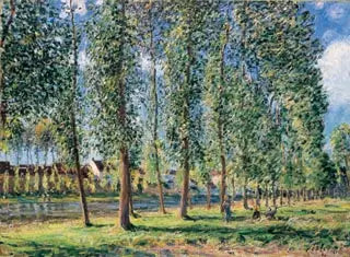De rij van populieren in Moret - Alfred Sisley