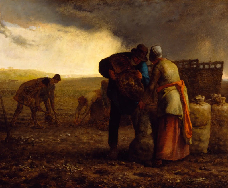 De aardappeloogst - Jean-François Millet