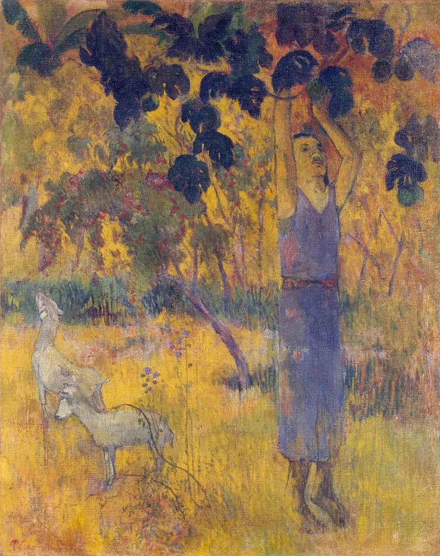 De oogst, of Man die vruchten plukt - Paul Gauguin