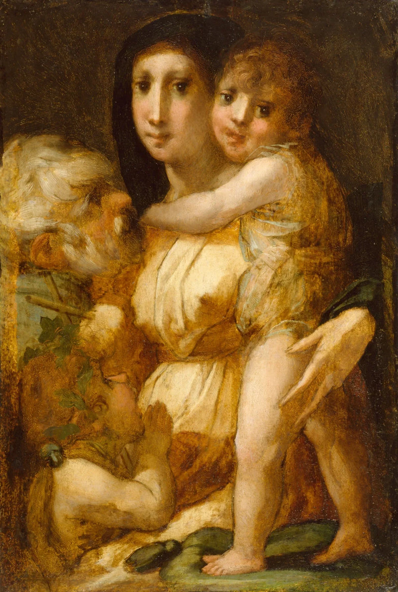 De Heilige Familie met het heilige kind Johannes de Doper - Rosso Fiorentino