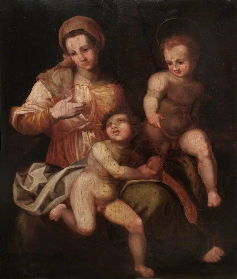 De Heilige Maagd met het Kind Jezus en Sint-Jan de Doper - Andrea del Sarto