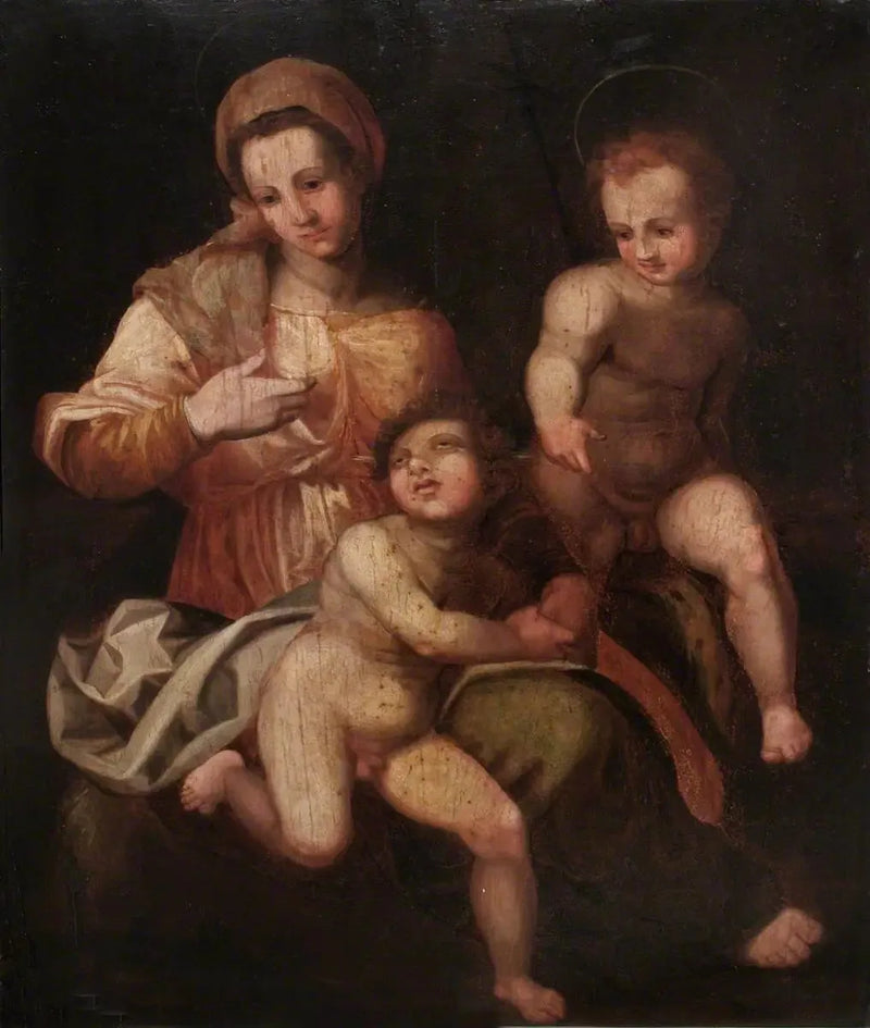 De Heilige Maagd met het Kind Jezus en Sint-Jan de Doper - Andrea del Sarto