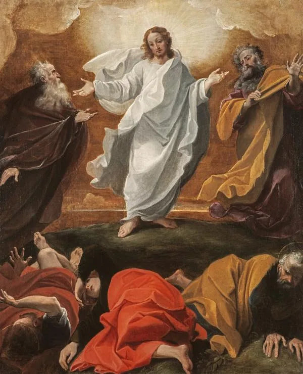 De Transfiguratie - Ludovico Carracci