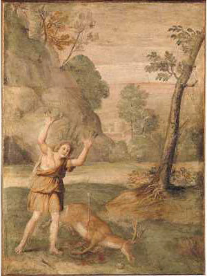 De transformatie van Cyparissus - Domenichino