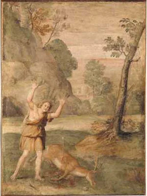 De transformatie van Cyparissus - Domenichino