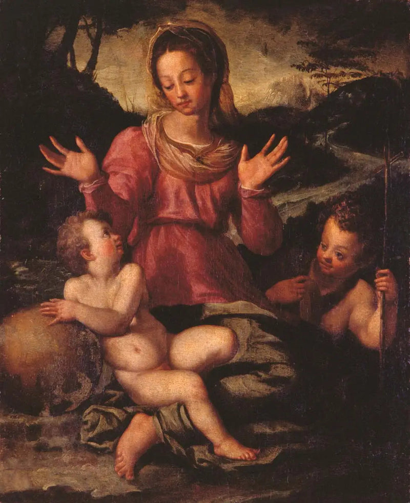 De Maagd met Kind en Sint-Jan de Doper - Andrea del Sarto