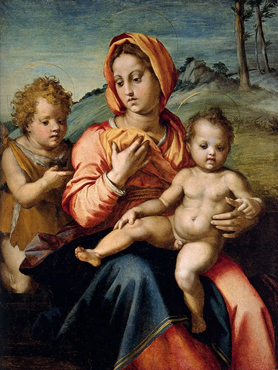 De Maagd met Kind en de jonge Johannes de Doper - Andrea del Sarto