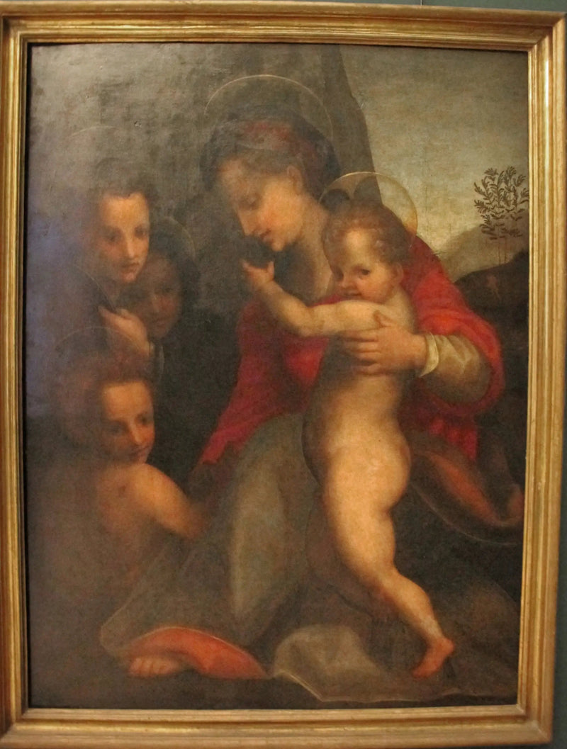 De Maagd met het Kind met de Heilige Johannes de Doper en engelen - Andrea del Sarto