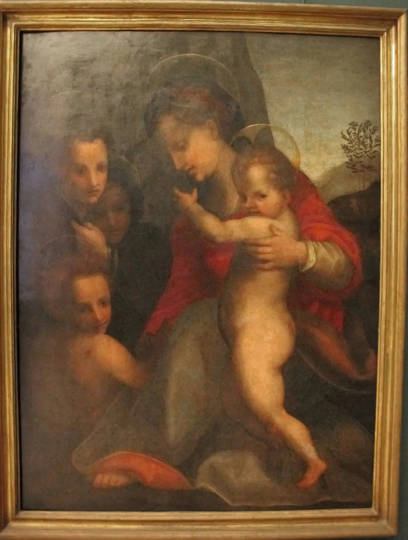 De Maagd met het Kind met de Heilige Johannes de Doper en engelen - Andrea del Sarto