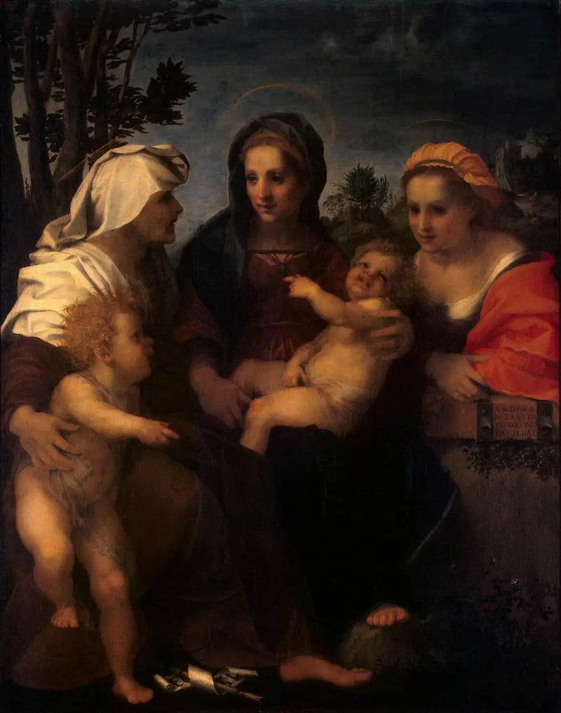 De Maagd met Kind, samen met Sint Catharina, Sint Elisabeth en Sint Johannes de Doper - Andrea del Sarto