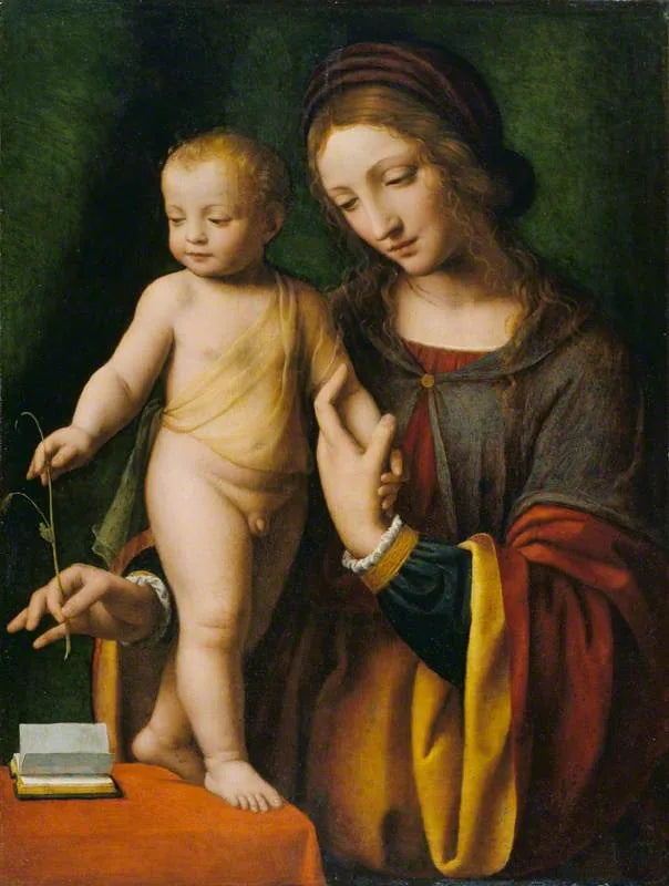 De Maagd met Kind met een anemoon - Bernardino Luini