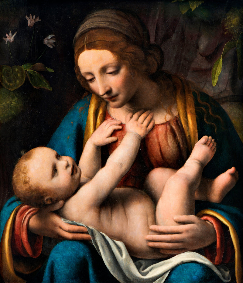 De Maagd met Kind - Bernardino Luini